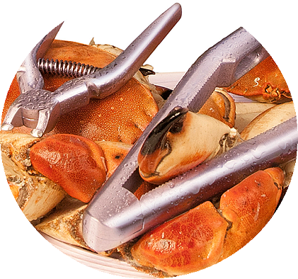 rustfritt